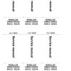 case rodillos vibratorios sv212 sv216 service manual page 3
